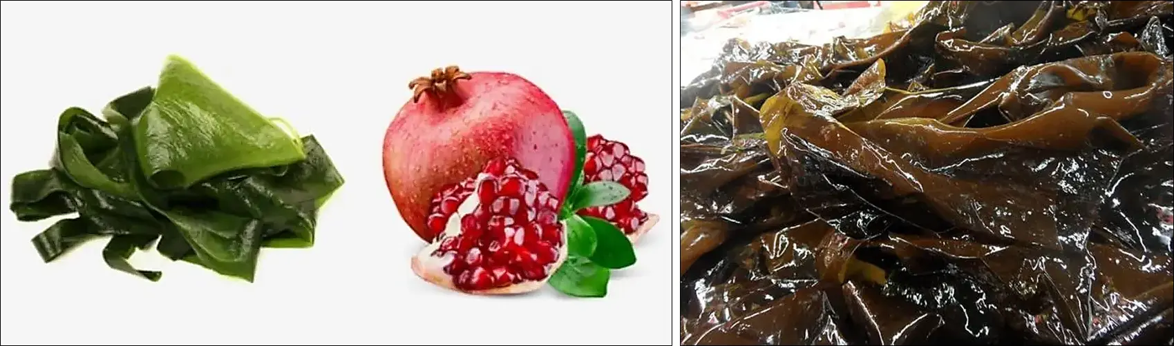 잔티젠-후코잔틴