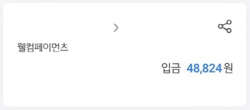 웰컴페이입금