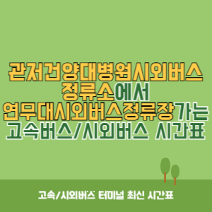 관저건양대병원시외버스정류소에서 연무대시외버스정류장 가는 시외버스 시간표 최신정보