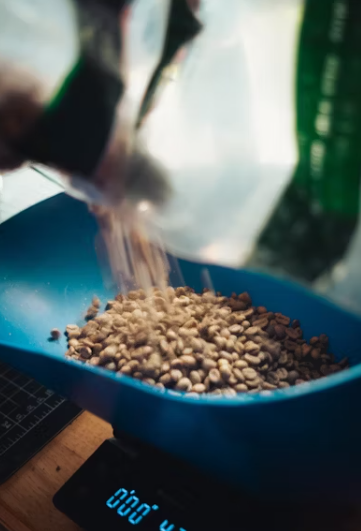 좋은 생두 고르는 법