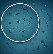 비문증 치료방법