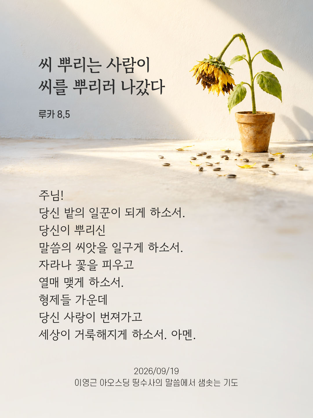 렉시오 디비나 말샘기도 루카복음 8장 5절 기도 이미지