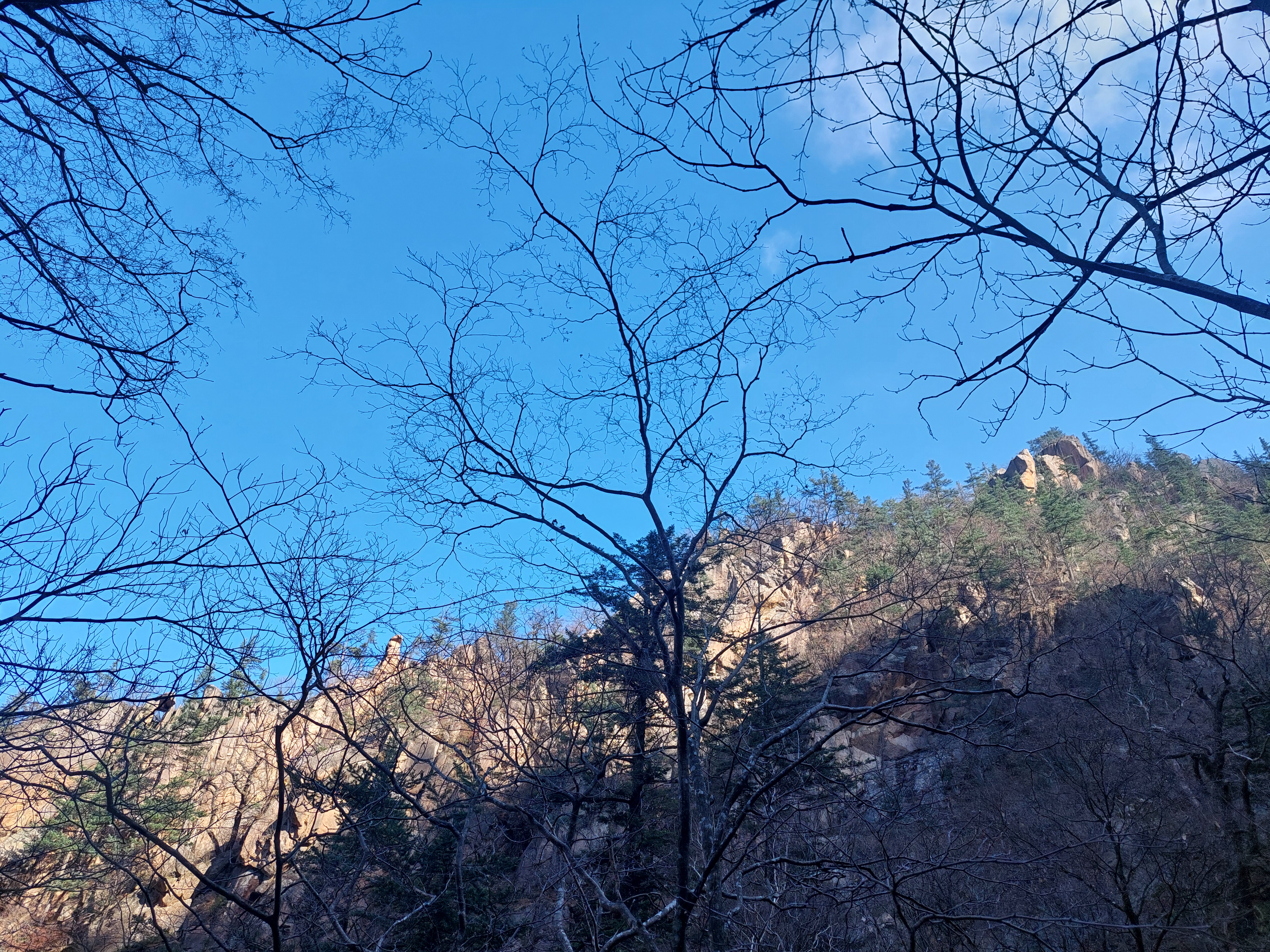 흘림골