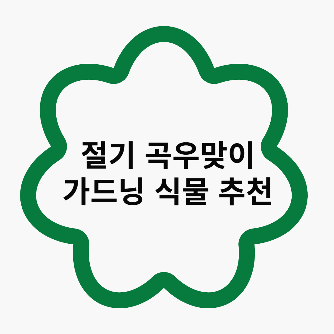 곡우 맞이 가드닝 식물 추천 및 방법