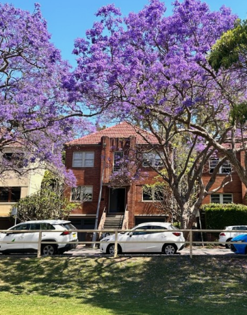 시드니 여행하기좋은시기