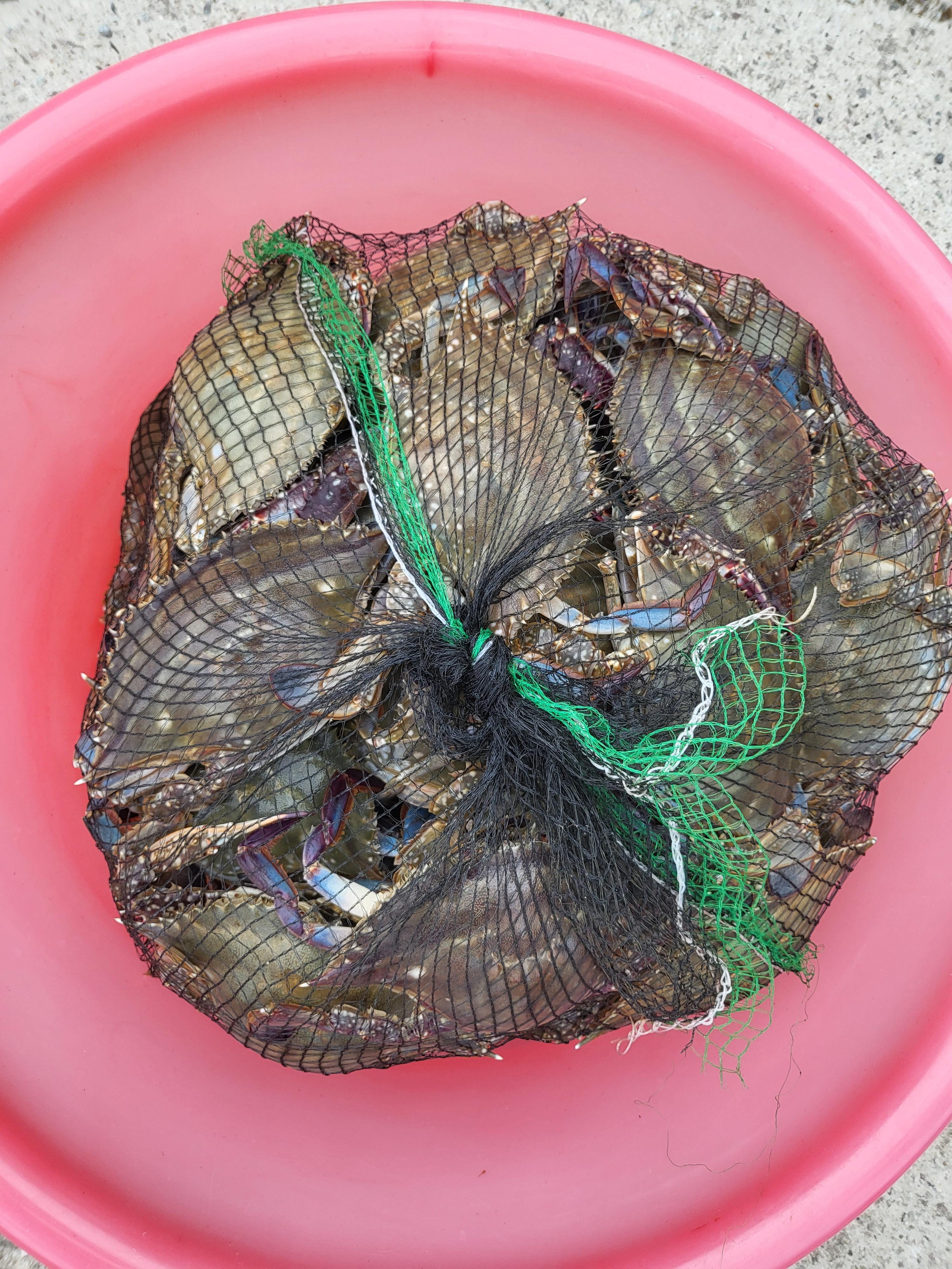 간장게장만들기기 재료