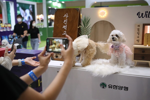 반려동물 박람회 관련사진