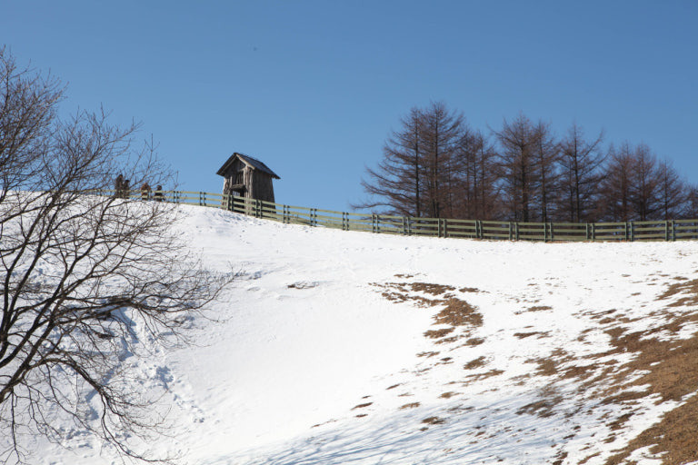 지금 가장 예쁜 설경 4선 겨울 여행 지금 떠나야 할 이유
