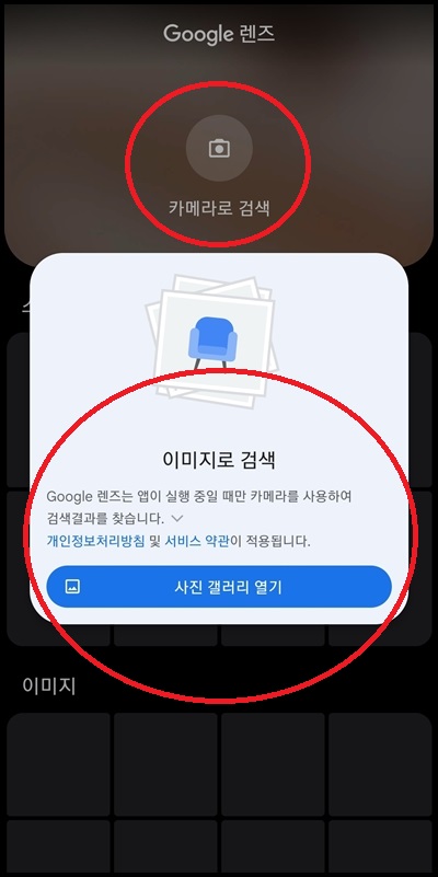 구글 렌즈 꽃 이름 찾는 방법