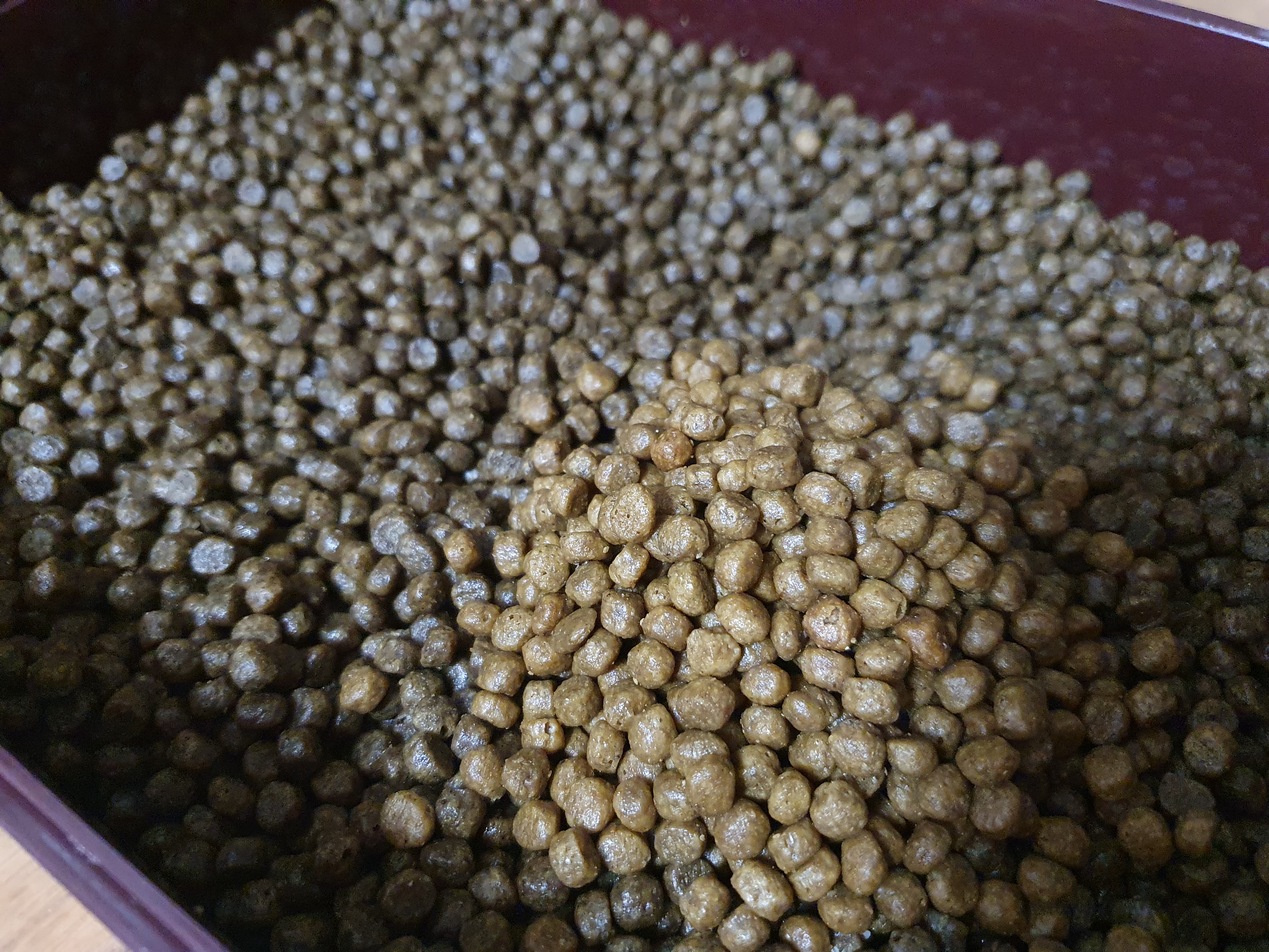 색깔이 다른 사료