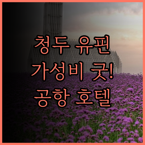 청두 솽류 국제공항 근처 유핀 호텔