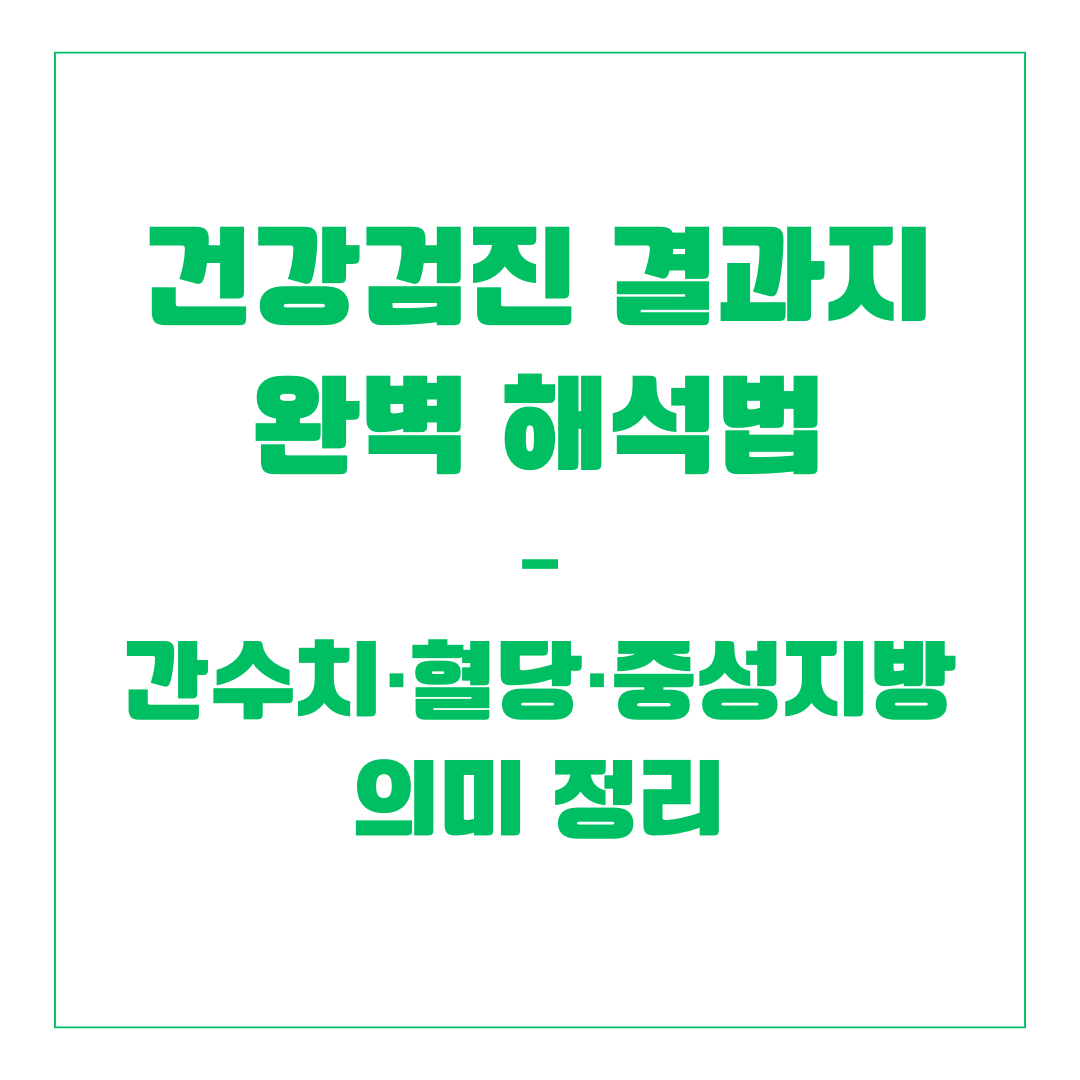 건강검진 결과지 완벽 해석법 – 간수치·혈당·중성지방 의미 정리