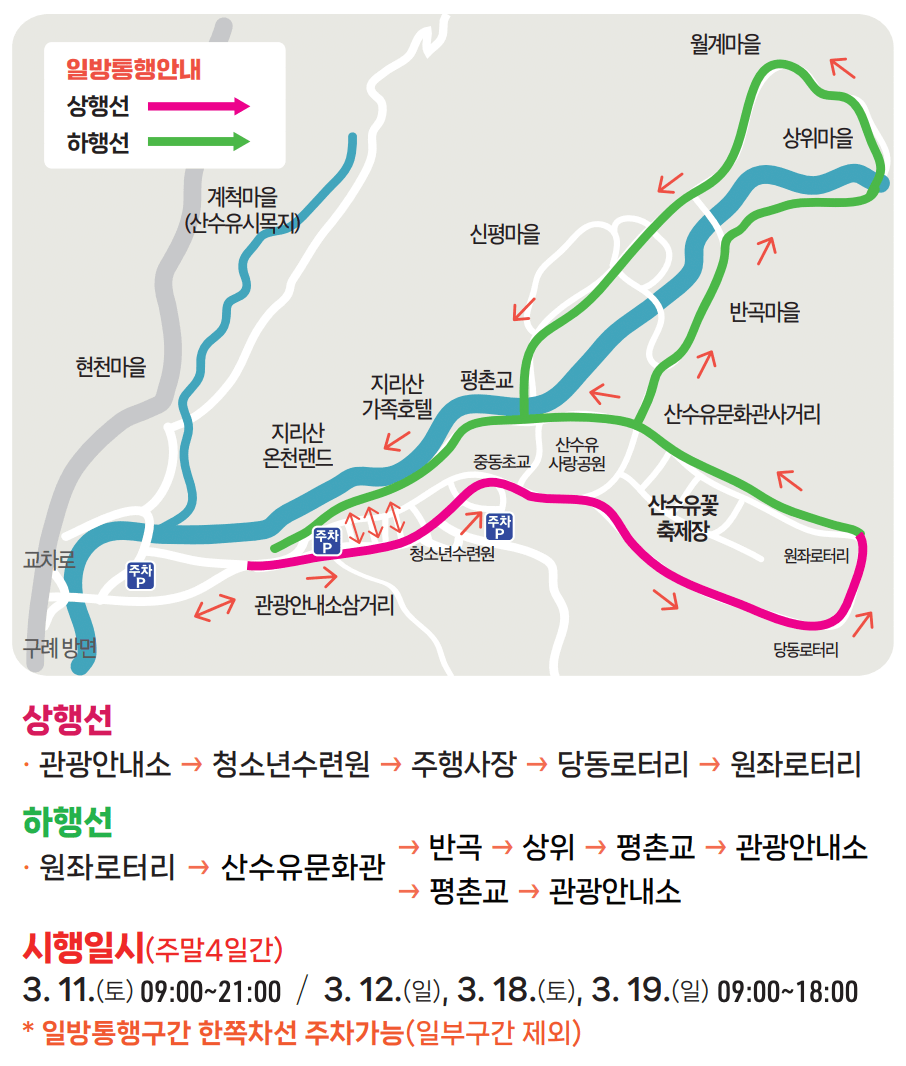 전남 구례 산수유마을 꽃 축제