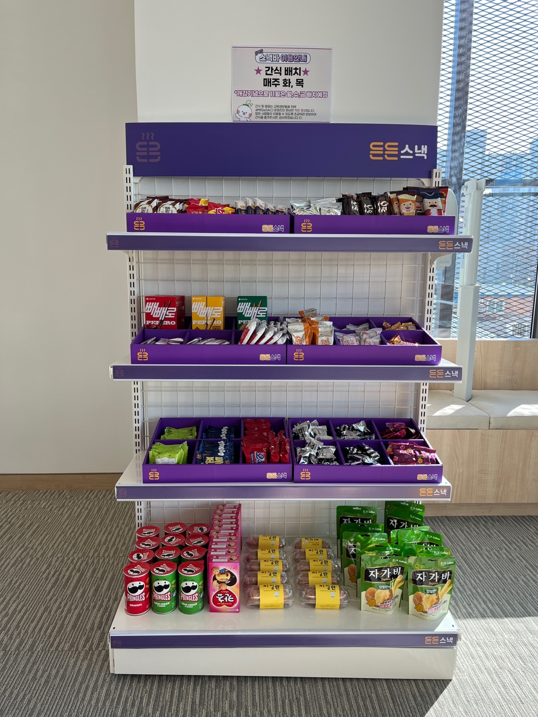 청년취업사관학교 내용 신청 선발