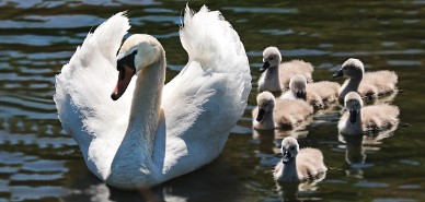 노후 준비 지원 서비스