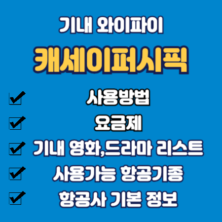 캐세이퍼시픽 기내 와이파이