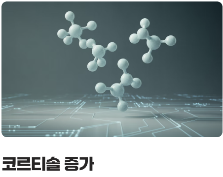 최악의 습관 3: &amp;#39;만성 스트레스&amp;#39; 방치하기