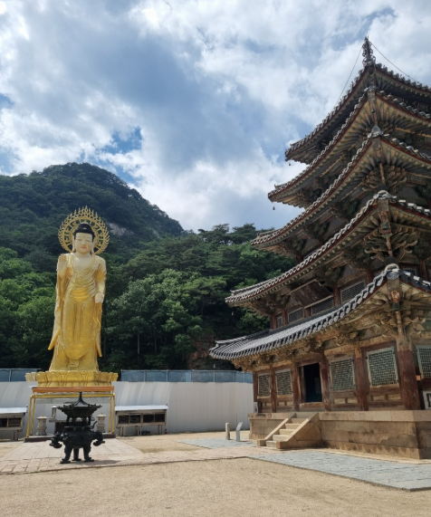 충청북도 여름 여행