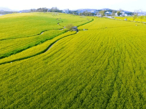 고창 학원 농장 입장료 총정리 관련사진