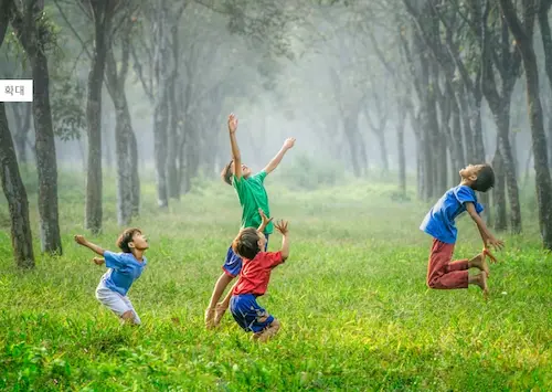 전문가와 상담이 중요합니다