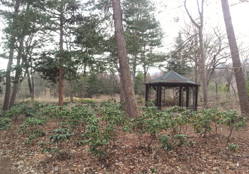 포천 국립수목원 광릉수목원 예약