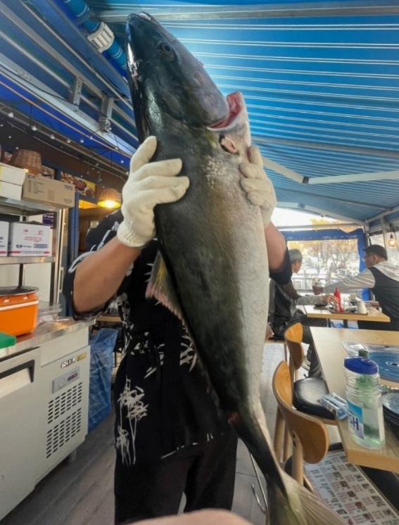 백반기행-인천-연수구-대방어-촌놈횟집