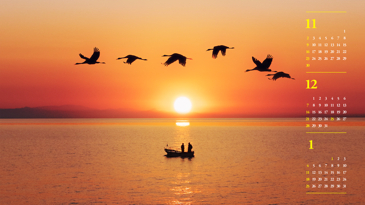 08 새해 일출과 새 B - 2025년12월 노트북배경화면