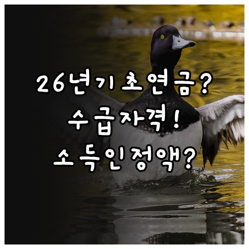 2026년 기초연금 수급 자격과 소득..