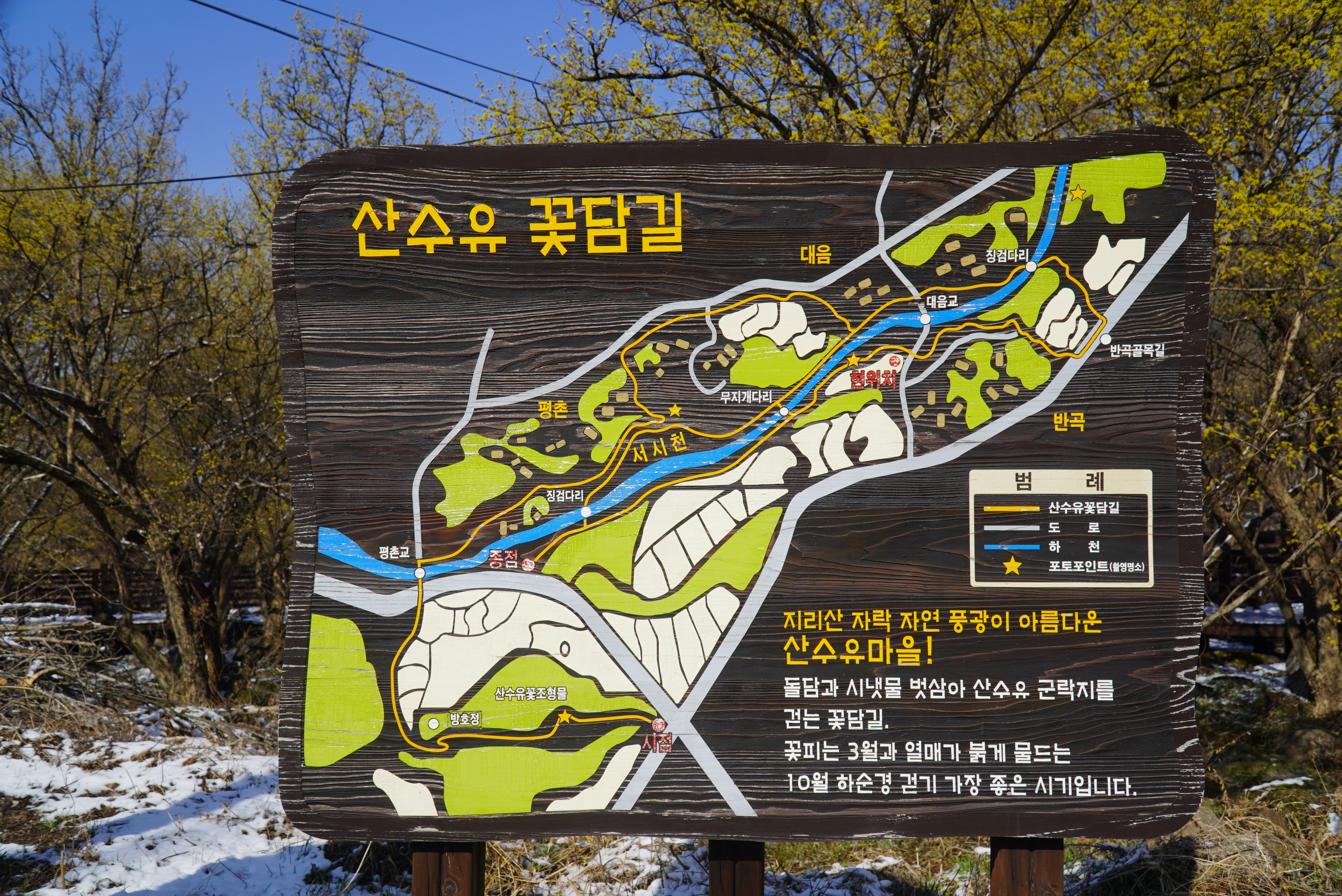 구례 산수유 꽃 축제, 구례 가볼 만한 곳 총정리