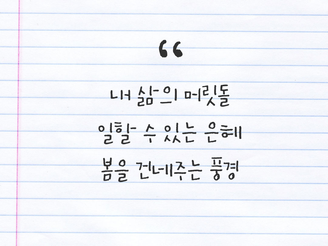 2026년 3월 6일 피어나네 감사노트|일상을 행복으로 바꾸는 기록 하루 3줄 감사일기