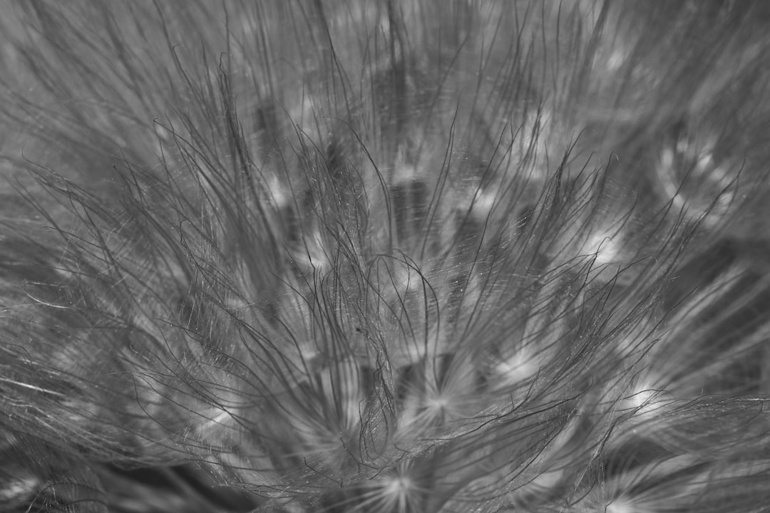 Hair loss medication