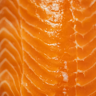 황반변성에 좋은 음식 영양제 식단