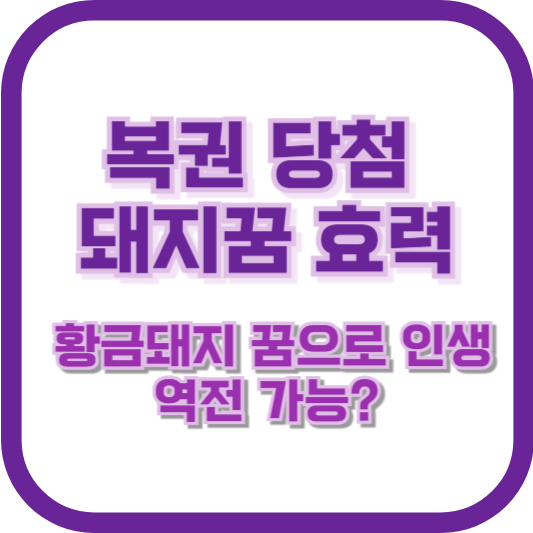 복권 당첨 돼지꿈 효력, 황금돼지 꿈으로 인생 역전 가능?