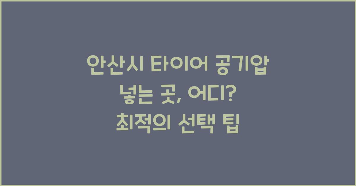 안산시 타이어 공기압 넣는 곳