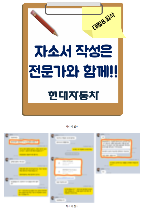 자소서 첨삭 대필