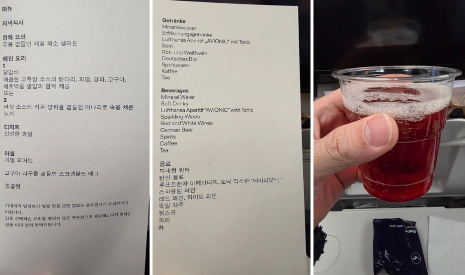 프랑크푸르트 공항→인천 공항 / 수속부터 비행, 그리고 귀국까지.