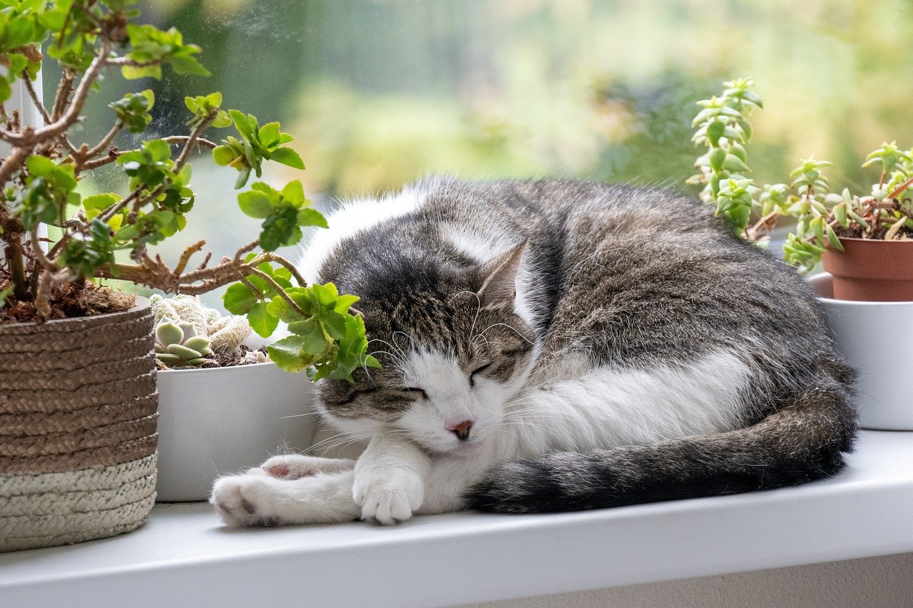 지원 신청 시 필요 서류