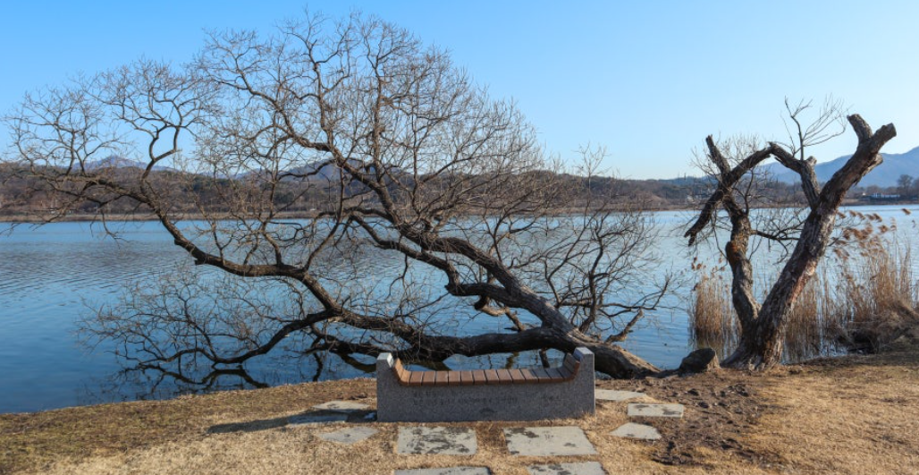 북한강 경변