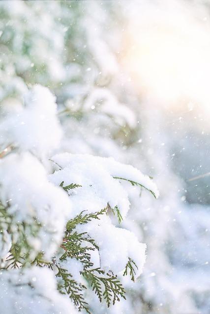 저온저장고 3평가격 2평가격