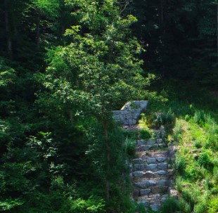 서운산 자연휴양림 숲나들e 국내 여행지 추천 관련사진