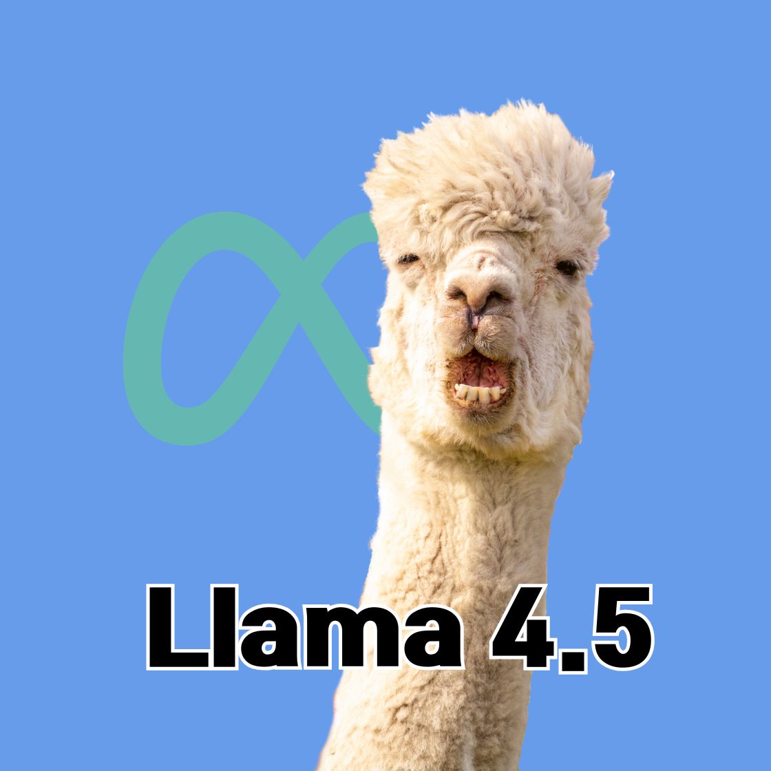 라마 4.5