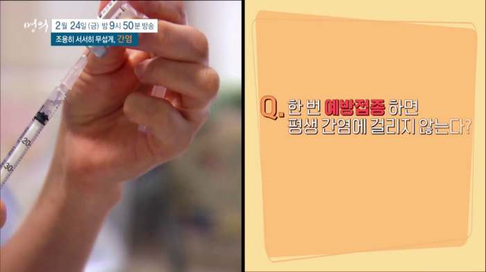 명의 A형 B형 C형 간염 증상 예방접종 원인 전염 항체 검사 비용 방법