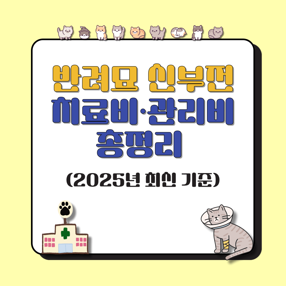 반려묘 신부전 치료비&middot;관리비 총정리 (2025년 최신 기준)