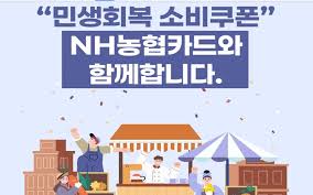 민생소비쿠폰농협체크카드6