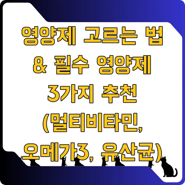 영양제 고르는 법 &amp; 필수 영양제 3가지 추천 (멀티비타민, 오메가3, 유산균)