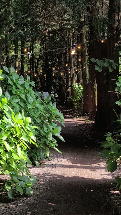 제주-가족여행-코스-마음디톡스-비밀의 숲-휴양림