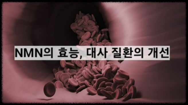 식물성 NMN 효능 및 부작용: 관절염 개선부터 다양한 건강 효과까지