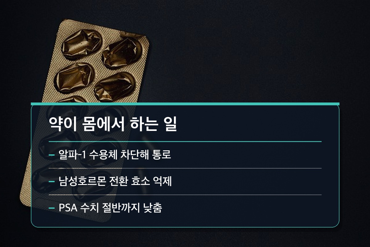 전립선 비대증 초기증상 각각의 약이 몸속에서 하는 일은 무엇인가요?