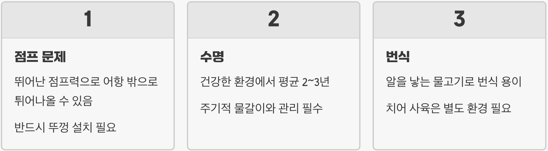 초보 물생활 입문 최강자! 제브라다니오 키우기 A to Z (어항 세팅부터 합사까지)