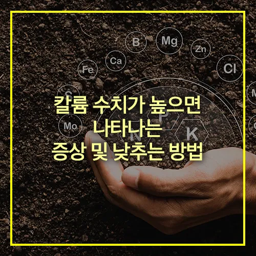 칼륨 수치가 높으면 나타나는 증상